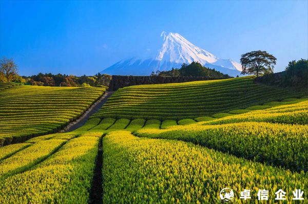 如何寫日本注冊公司的經營范圍？