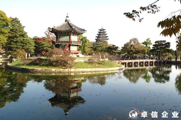通常韓國公司被稅務調查的原因是什么？