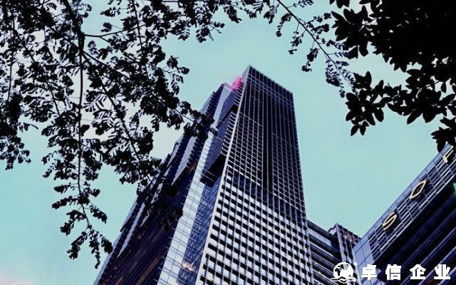 新西蘭公司解散的步驟全面解析