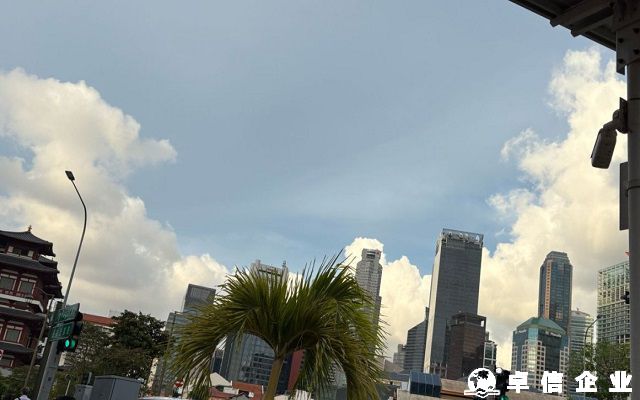 BVI公司經營范圍全解析：自由、限制與合規路徑
