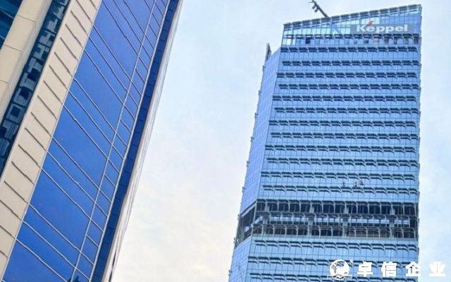 外國(guó)公司在菲律賓設(shè)立分公司與子公司的區(qū)別